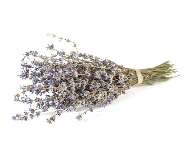 Τσάι Ολύμπου