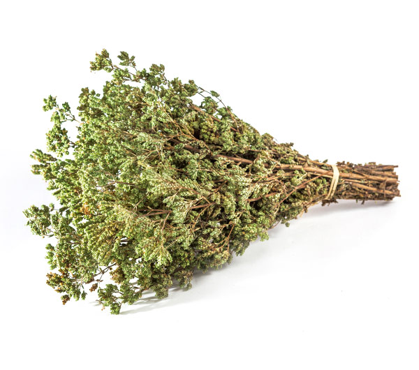 Τσάι Ολύμπου