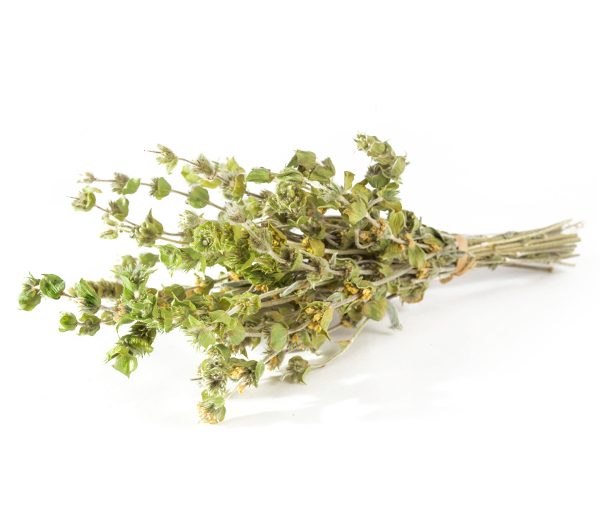 Τσάι του βουνού