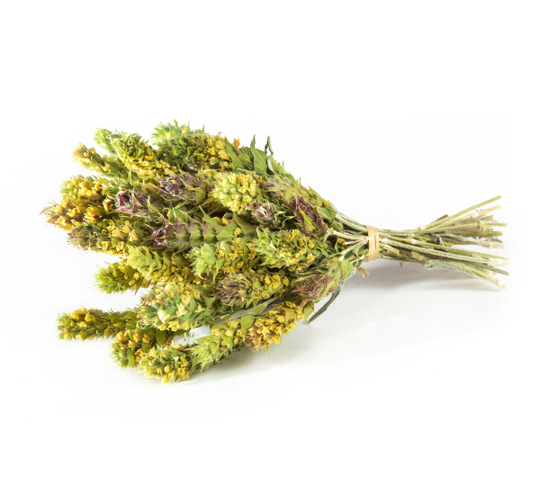 Τσάι Ολύμπου