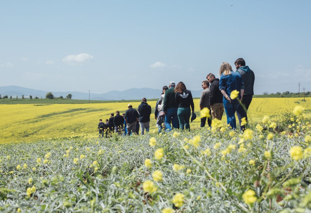 Organic cultivations